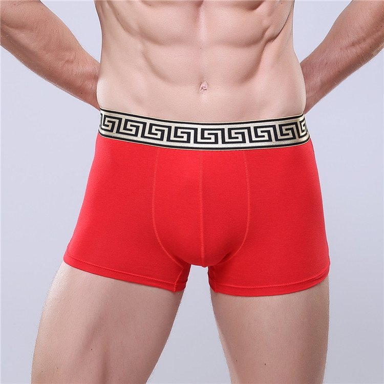The Ultimate Guide to Custom Logo Men’s Shorts Briefs: Comfort, Style, and Sustainability